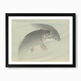 Japanese Ukiyo-E Koi Carp 1 Art Print