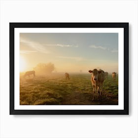 Glowing Sunrise with the Cows Art Print