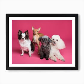 Portrait Of Dogs Art Print