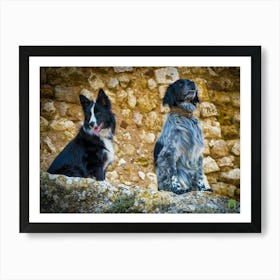 Border Collie 202308311712119rt1pub Art Print