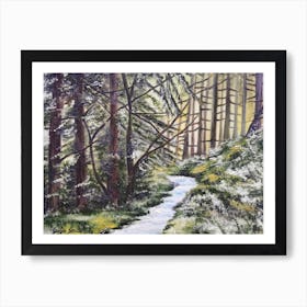 Forest Stream 1 Art Print