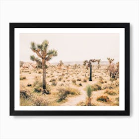 Warm California Desert Art Print