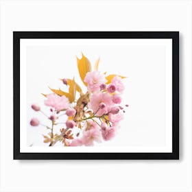 Pink Flowers During Springtime Art Print