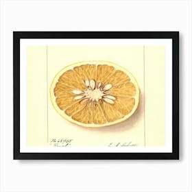 Orange Slice Art Print