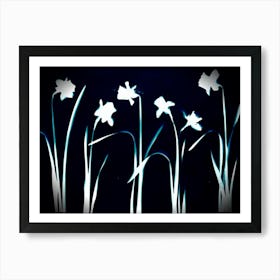 Daffodils 1 Art Print