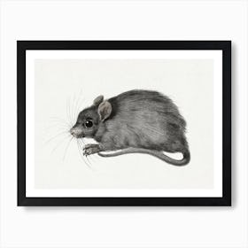 Mouse, Jean Bernard Art Print