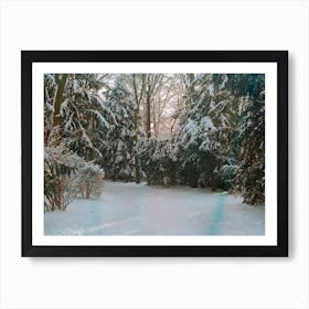 Winter Scene Art Print