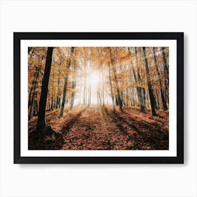 Sunrise In Fall Forest Art Print
