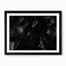 Black And White Leaves Art Print