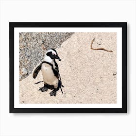 Penguin On The Beach (Africa Series) Art Print