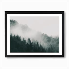 Foggy Forest Art Print