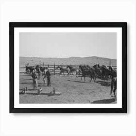 Cowboys Roping And Saddling Horses, Corral At Ranch Near Marfa, Texas By Russell Lee Art Print