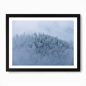 Winter Forest And Fog Art Print