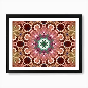 A Star Is A Flower Art Print