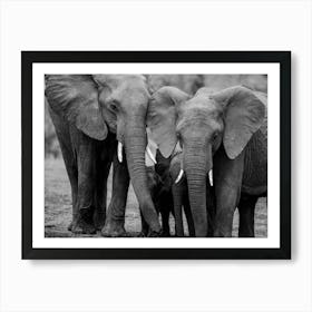 Family Of Elephants in Kenya  Art Print