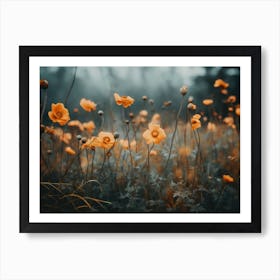 Orange Poppy No 2 Art Print