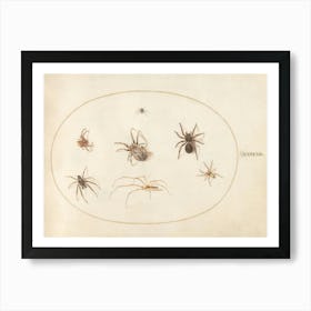 Seven Spiders, Joris Hoefnagel Art Print