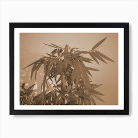 Sepia Art Print