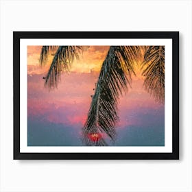 Palm Tree Branch And Sunset Sun Oil Painting Landscape Art Print