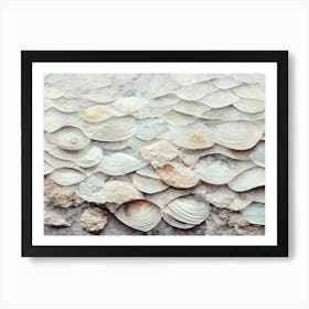 Sea Shell Detail No 6 Art Print