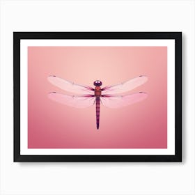 Dragonfly Roseate Skimmer Orthemis 7 Affiche