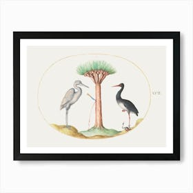 White Heron And Black Stork Killing A Snake With A Dragon S Blood Tree (1575–1580), Joris Hoefnagel Art Print