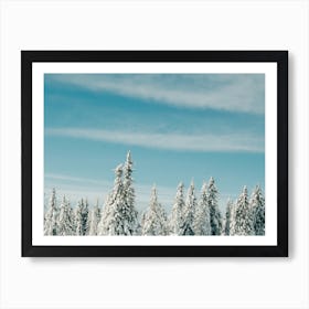 Snow Fever In Scandinavia Art Print