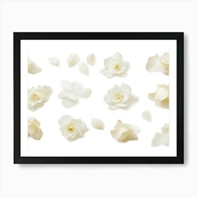 Set Of White Roses With Petals Floral Design Elements 1 Art Print