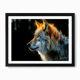 Lone Wolf - Wolf Face Art Print