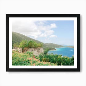 Waterlemon Cay in St. John  Art Print