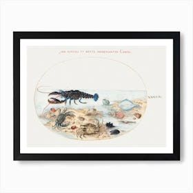 Lobster, Crabs, Scallop Shells And Other Sea Life (1575–1580), Joris Hoefnagel Art Print