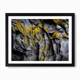 Yellow Lichen On A Rock Art Print