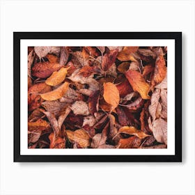 Red And Orange Leaves Art Print