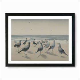 Seagulls On The Beach Art Print