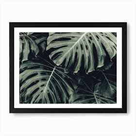 Lush Tropical Leaves Art Print