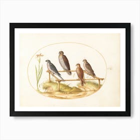 Flying And Amphibious Animals , Joris Hoefnagel 1 Art Print