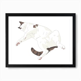 Snowshoe Siamese Cat Sleeping Art Print