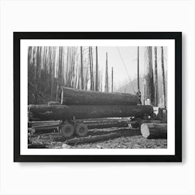 Loading Logs Onto Truck For Transportation To Mill, Gyppo Logging Operations, Tillamook County, Oregon Art Print