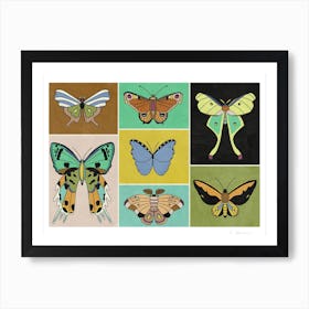 Butterflies Art Print