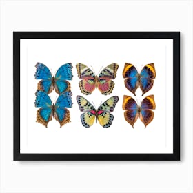 Collection Of Six Butterflies Blue Art Print