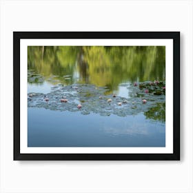 Water lilies and reflection of the treetops in a pond Art Print