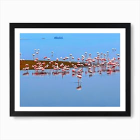 Walvis Bay Flamingos, Namibia (African Series) Art Print