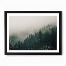 Misty Forest Views Art Print