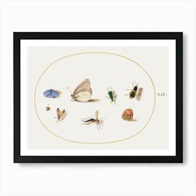 Two Butterflies With Five Other Insects (1575–1580), Joris Hoefnagel Art Print