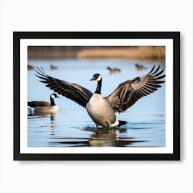 A Canadian Goose In Its Natural Habitat Near A Lake Shallow Enough For Swimming Gracing The Water W (1) Art Print