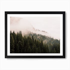 Foggy Mountain Forest Art Print