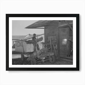 Farmer Unloading A Trailer Of Corn At Feed Mill, Taylor, Texas By Russell Lee Art Print