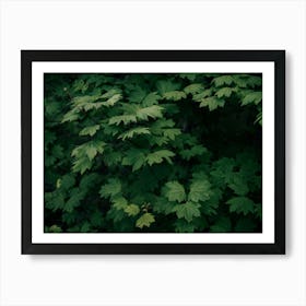 Some Greenery III Art Print