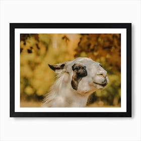 Autumn Llama Art Print