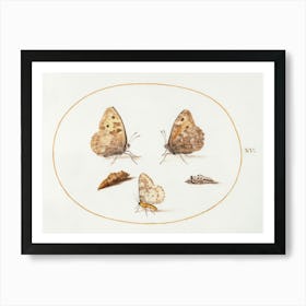 Grayling Butterfly, Magpie Moth, And Two Chrysalides (1575–1580), Joris Hoefnagel Art Print